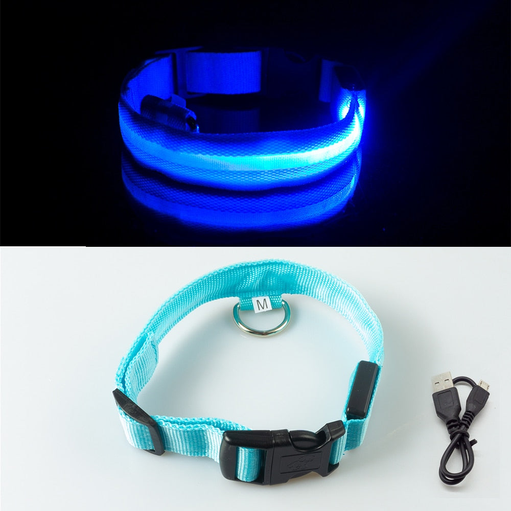 LED Dog Collar - Anti-Lost Safety Light for Night Walks
