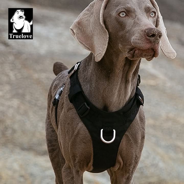 True Love Lightweight Dog Harness - Black, 2XS