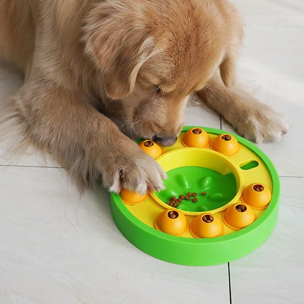 Interactive Slow Feeder Puzzle Toy for Dogs - ArctiPet
