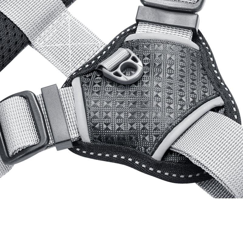 Stylish Polyester Dog Leash Collar - Perfect For Small Dogs! - ArctiPet