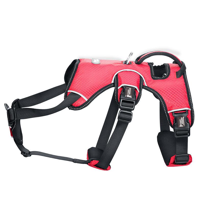 Stylish Polyester Dog Leash Collar - Perfect For Small Dogs! - ArctiPet